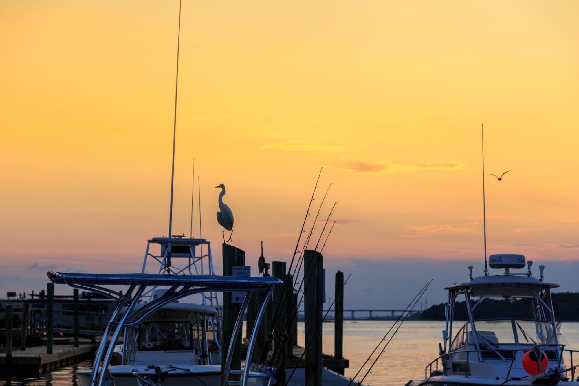 Forest Beach Villas Hilton Head Island Zimmer foto